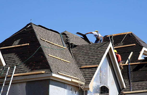 Best Metal Roofing Contractor  in Knightdale, NC
